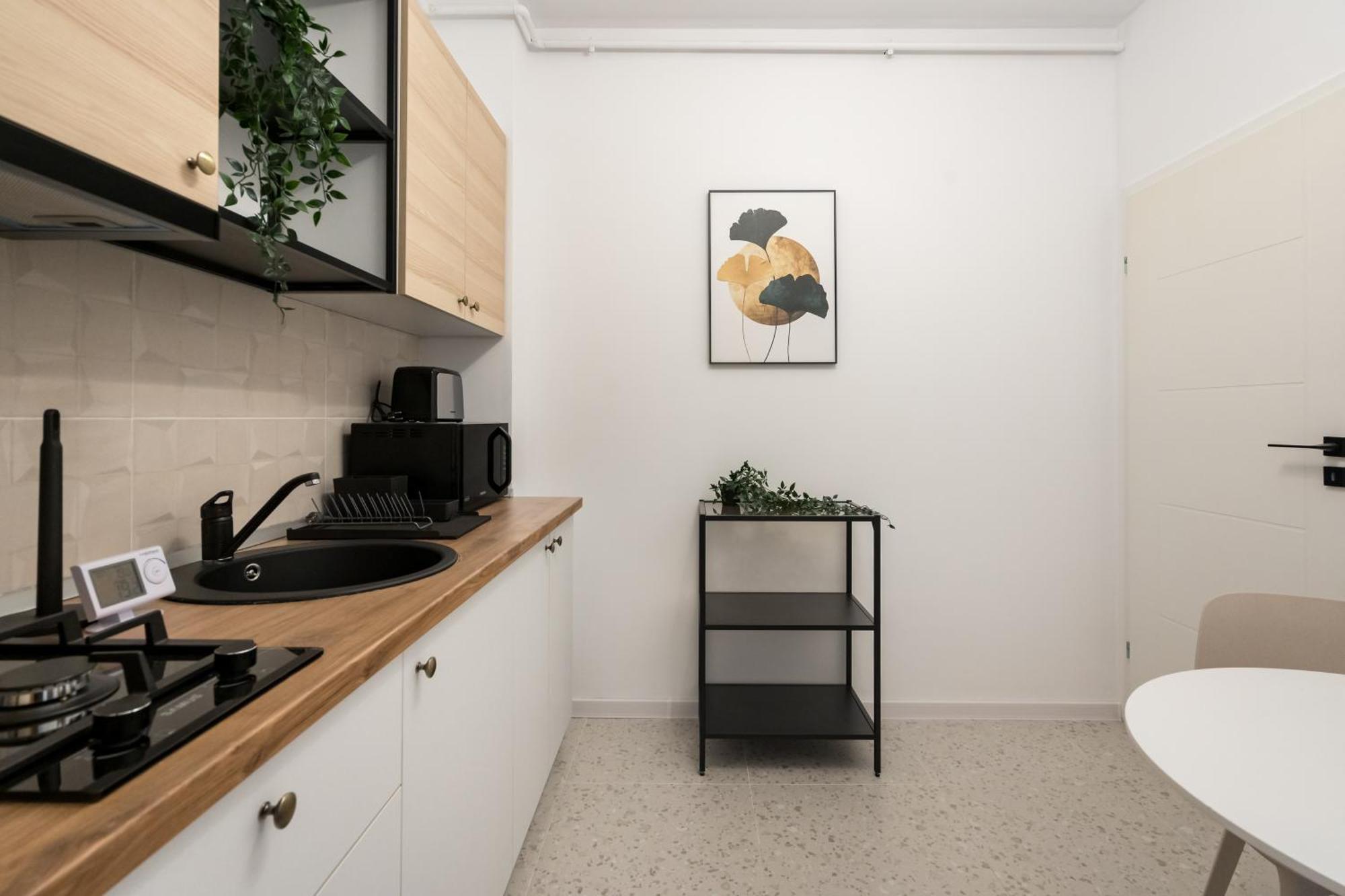 Apartment Plaza 229 Bucharest